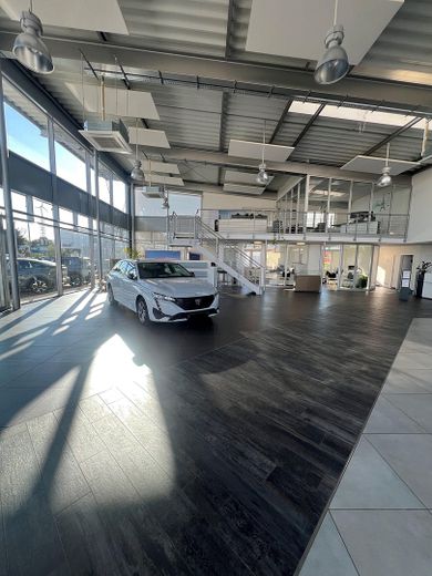 Ausstellungs-und Bürofläche