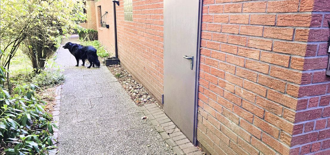 Mietobjekt 1.Garage+Haus