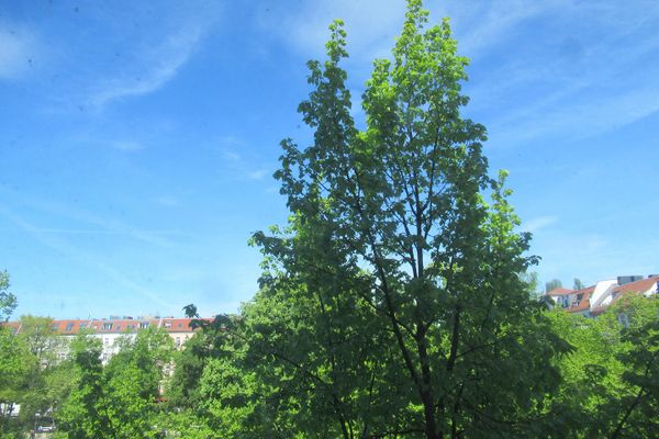 Freundliche 2-Zimmer-Wohnung in ruhiger Hinterhoflage direkt am Boxi