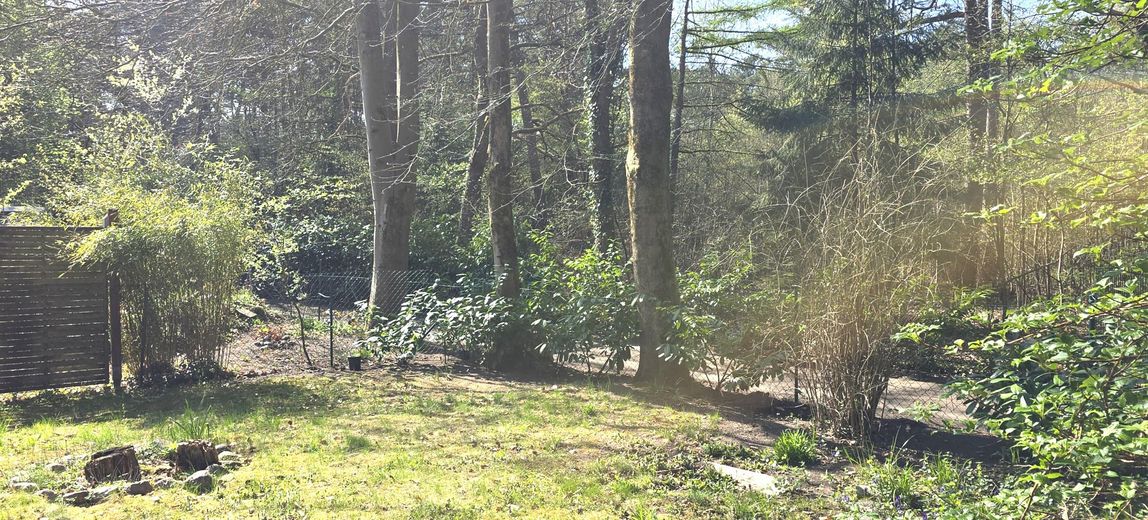 Garten Mietobjekt 1.