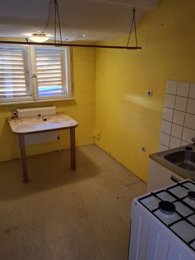 Nbg-Gaismannshof’ta inci - Tek ailelik ev (veya 3 odalı mutfak-banyo zemin kat + 2 odalı mutfak-banyo çatı katı) ve büyük, sakin bahçe – Kleine Küche DG
