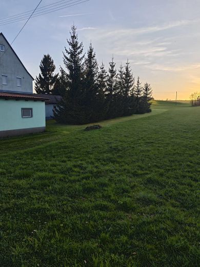 Freier Blick