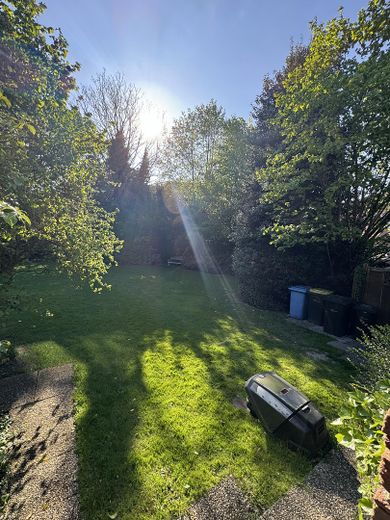 Garten 5