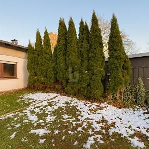 MÖHNESEE| PORZIONE DI BIFAMILIARE DA RISTRUTTURARE | VICINANZA AL LAGO – 1764707001_d68c7dd.jpg