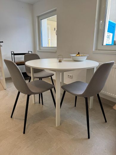 Voll möbliert: Brandneue, liebevoll eingerichtete Wohnung mit großer Terrasse und Garten in Dresden – Küche