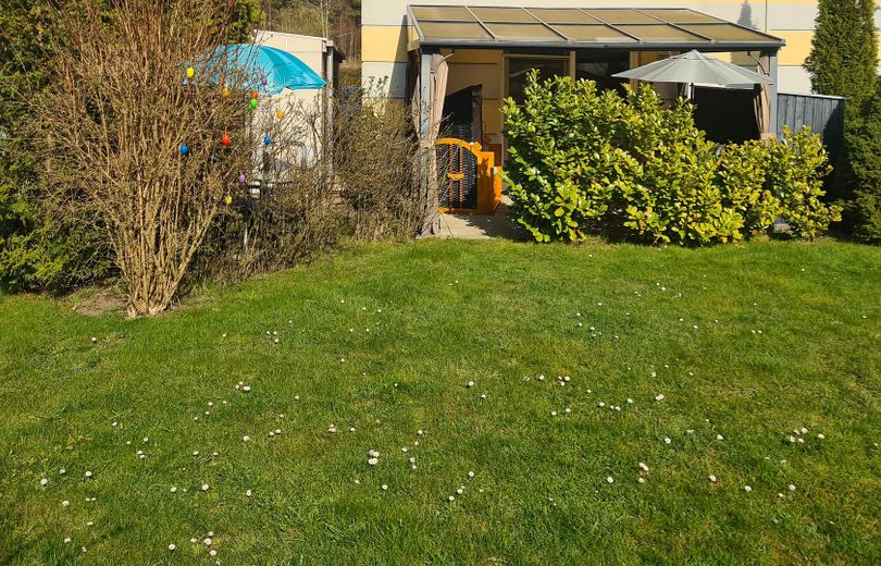 Gartenseite