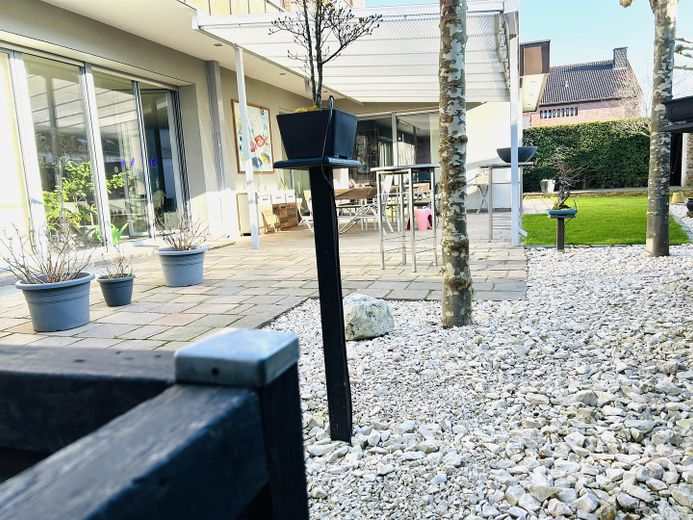 Blick Garten/Terasse
