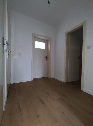 Appartamento ristrutturato di 2,5 locali con balcone e uso del giardino – Diele