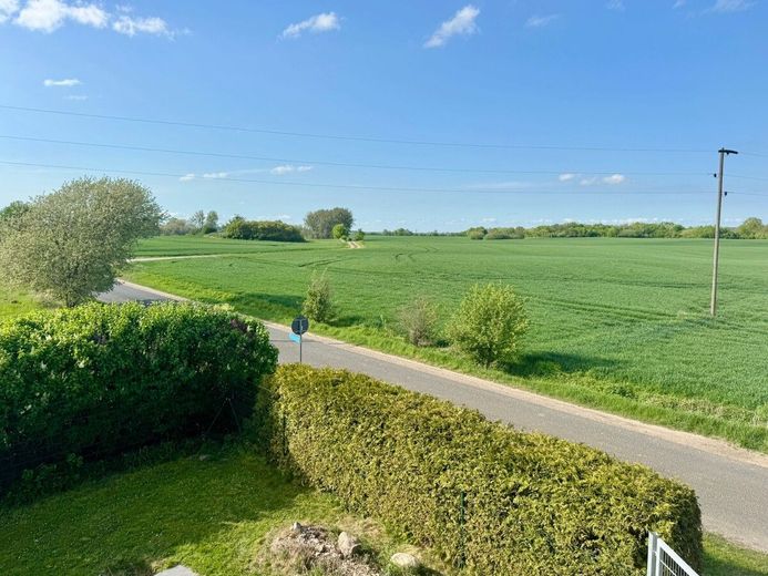 HORN IMMOBILIEN ++ großes Haus, großes Grundstück in Randlage und nur ca. 15 km bis Neubrandenburg – Aussicht aus dem Fenster Giebelseite