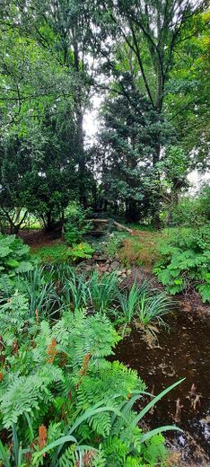 Teich links