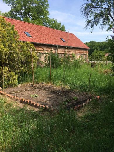 Atelier Gartenansicht