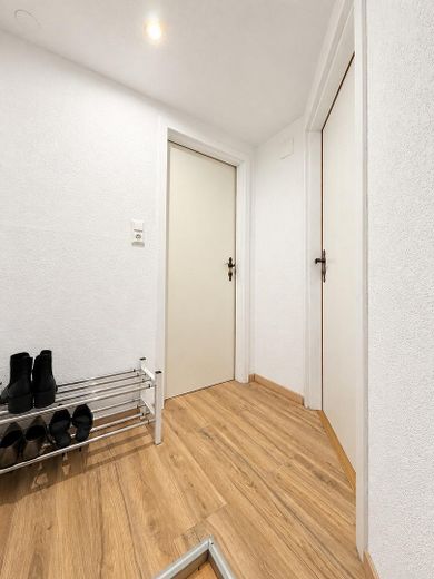 Fully renovated family home with a stunning conservatory, photovoltaic system, heat pump & large outbuilding – Diele Dach 