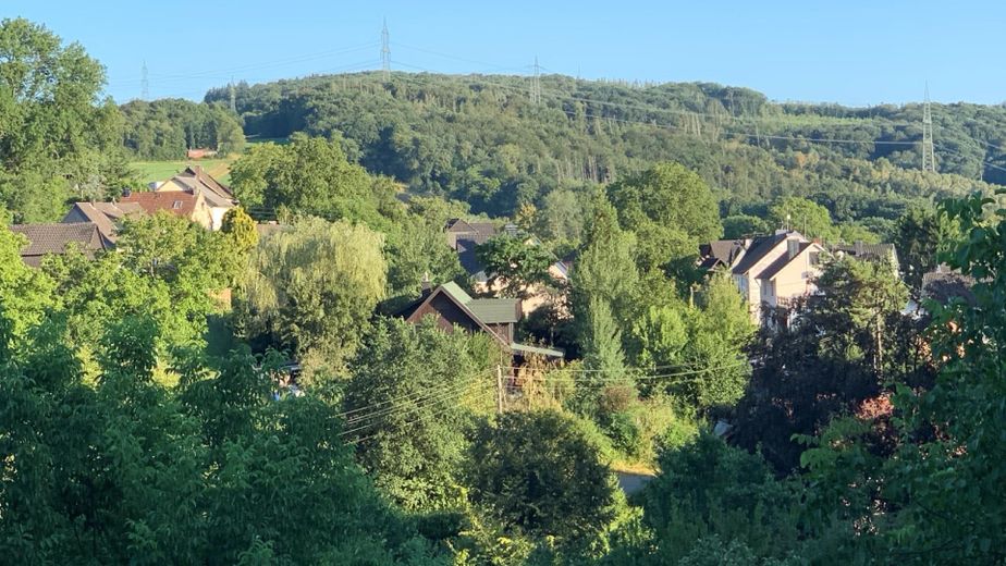 freistehendes Einfamilien, Vollholzhaus, kanadisches Blockhaus ökologische Bauweise, sehr gepflegt – Foto 3