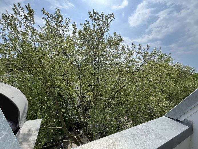 Ausblick ins Grüne vom Balkon