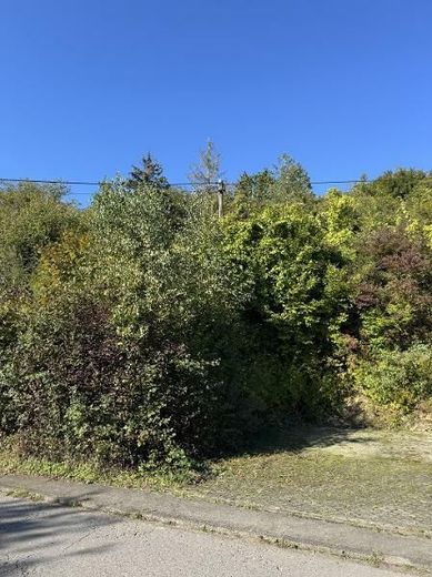 Bild 5 Blick von der Seite,Ortsstraße