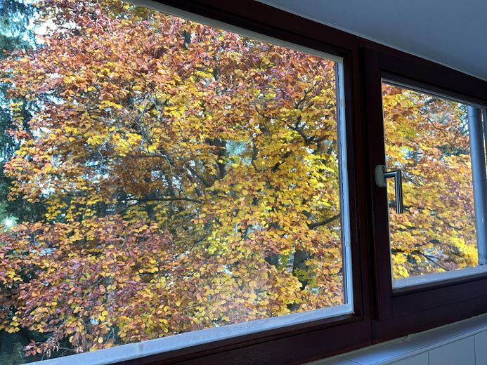 3 Zimmer lichtdurchflutete DG-Wohnung Inmitten von München-Waldtrudering – Ausblick Bad