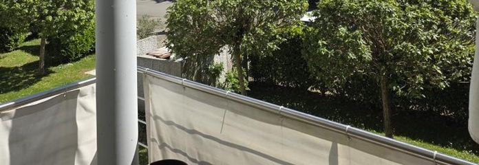 Ausblick Balkon zum Wald