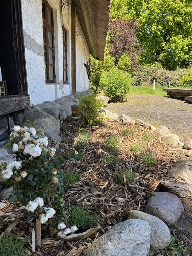 Maison de rêve dans un emplacement de choix ! Au calme, en pleine nature, étang de baignade – Photo 19