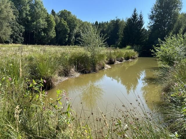 Paraíso rural/ bosque-pradera-agua – Wasserfläche