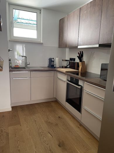 Küche (ohne Kühlschrank)