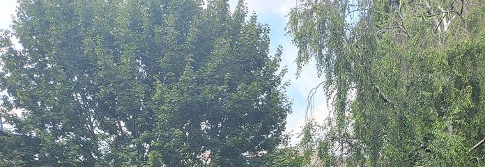 Wohnung in zentraler Lage – Grünanlage
