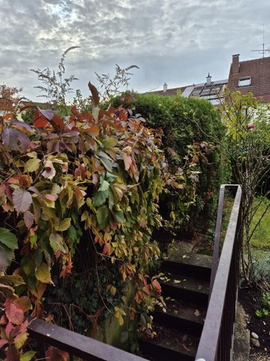 Garten Treppe in Keller