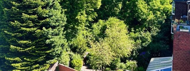 Balkon-Blick ins Grüne