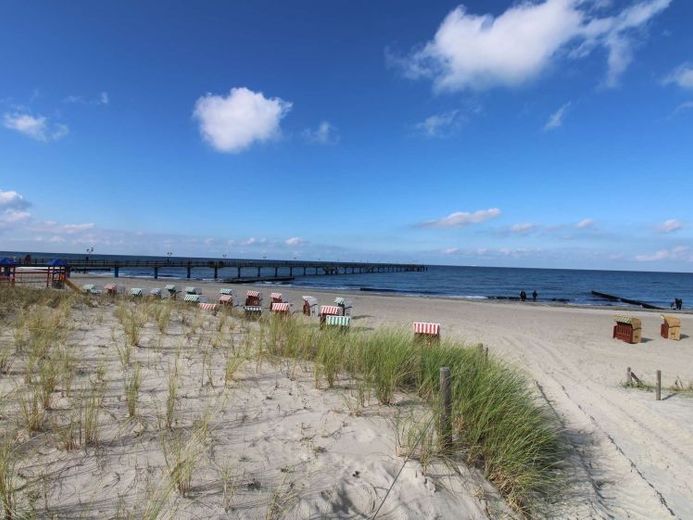 Charmantes Wohnhaus mit Nebengebäude am Dünenwald - nur 10 Minuten zum Strand – Foto 1
