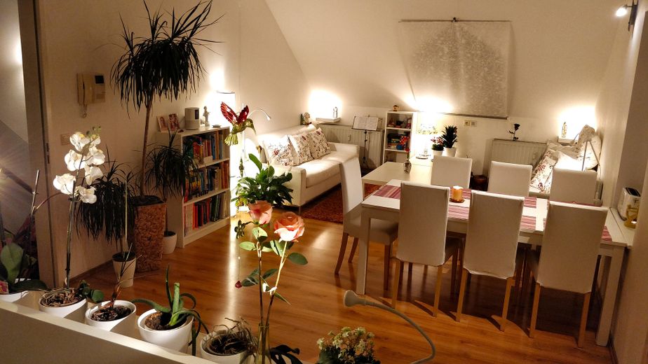 Zimmer 2 (Einheit 7, ↑SO)
