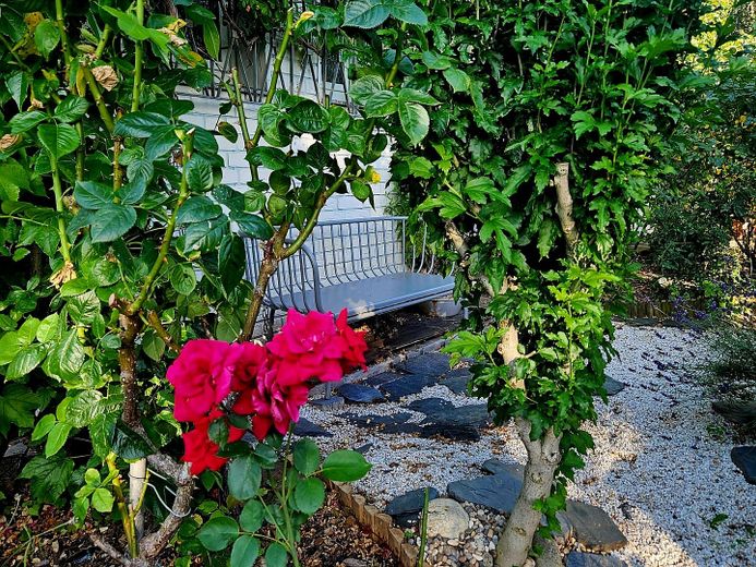 Top gepflegtes Haus*traumhafter Garten*zentrumsnah & naturverbundener Stadtteil Köln*3 Wohnkonzepte – Sonnenuntergangsplätzchen II