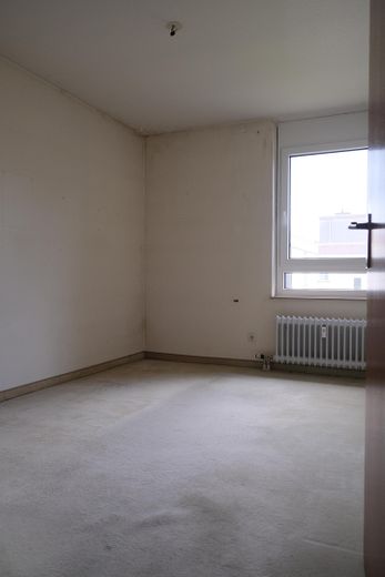 Zimmer3