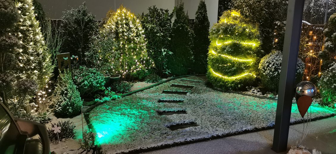Garten im Winter