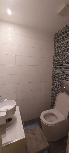 Geräumiges und modernisiertes 8-Zimmer-Einfamilienhaus mit geh. Innenausstattung in bester Lage – WC Keller