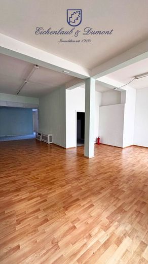 Wohn- und Geschäftshaus, zentrale Lage von Dillingen, rund 528m² Gesamtfläche – Verkaufsfläche EG