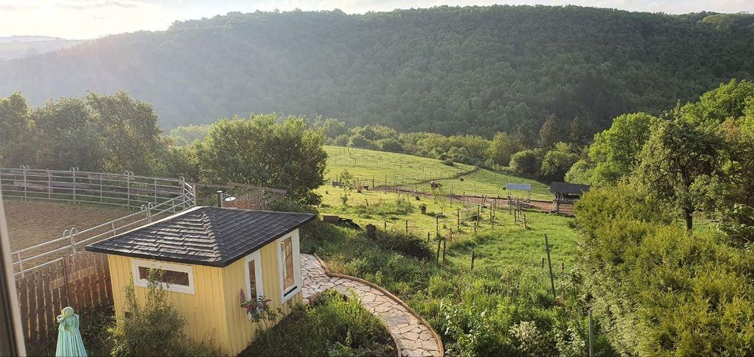 Ausblick 1. OG auf Hausweide