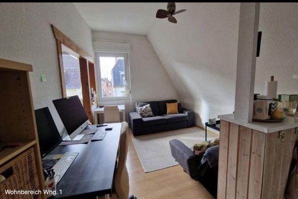 Altbauperle Weststadt - Zwei Appartements in einer Wohnung