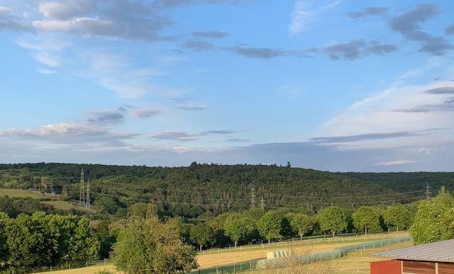 Taunusblick