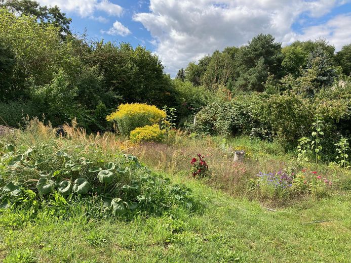 traumhaftes Bauland am Naturschutzgebiet – Foto 6