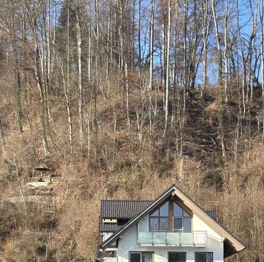 Ansicht von Osten