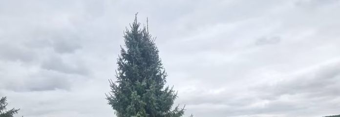 2ab56b2f6ac10cdc772eec58f3c433a7.jpg