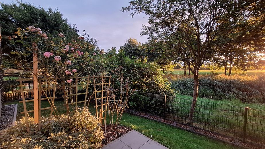 Impressionen - Garten