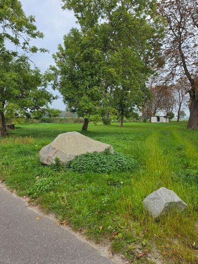1.298 m² Baugrundstück auf Rügen mit positiver Bauvoranfrage! – Blick von der Strasse