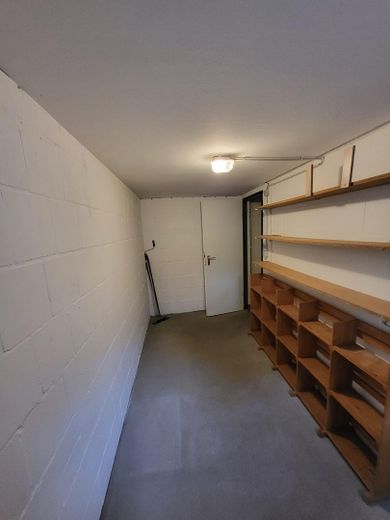 Helle 2-Zimmer Wohnung in guter Lage – Kellerabteil