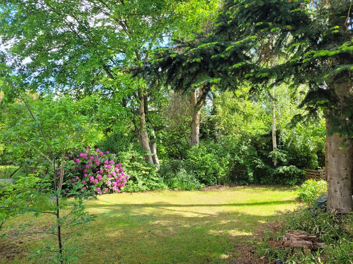 Garten mit Büschen und Bäumen