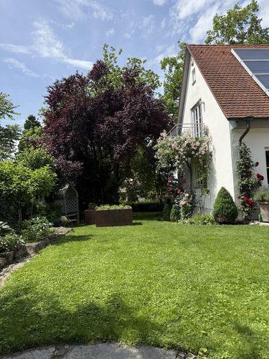 Blick v. Nachmittags-Sonnenplz