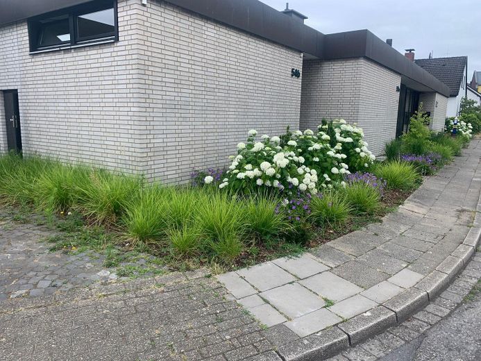 Bungalow