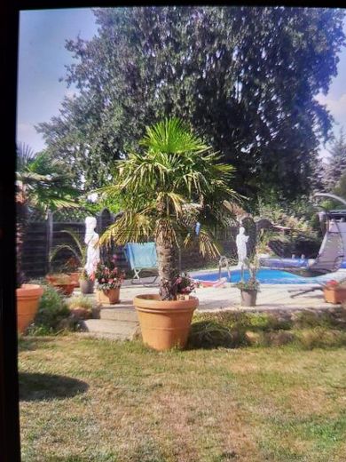 Baugrundstück mit genehmigter Bauvoranfrage in Teltow ! Natürlich Provisionsfrei ! – Pool muss wahrscheinlich weg 
