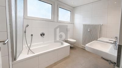 HELLES MODERNES DACHGESCHOSS MIT KAMIN – 1784718718_d1c6d8d.jpg