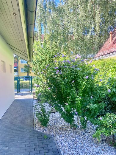 Haustür Richtung Garten-Pforte