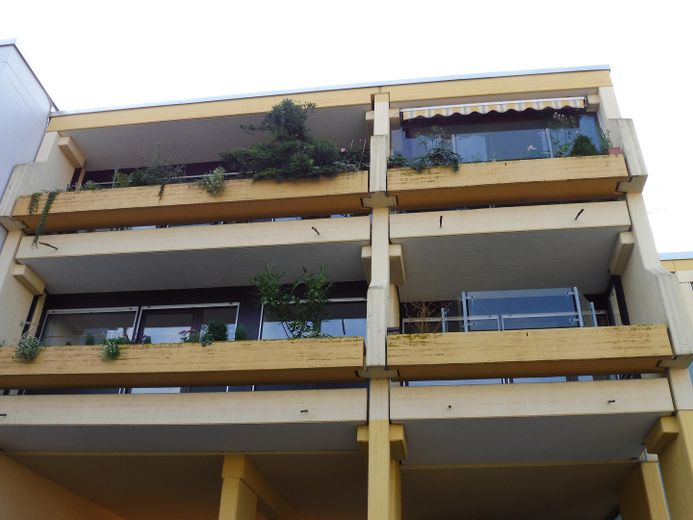 Großzügige 3-Zimmerwohnung, 96 m², in bester Lage Würzburg-Frauenland – Süd-Westansicht